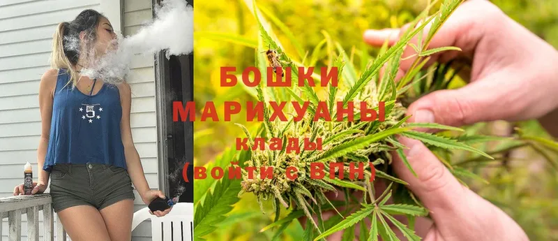 Шишки марихуана OG Kush  Лабытнанги 